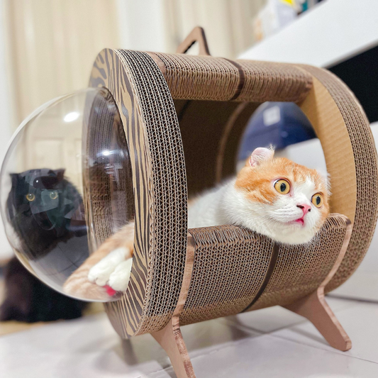 CATMANIA Purr Pod - for cats