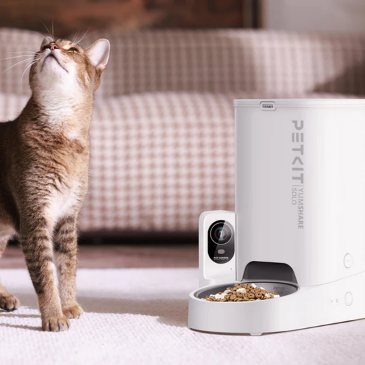 PETKIT YumShare Solo Automatic Feeder with Camera - for cats