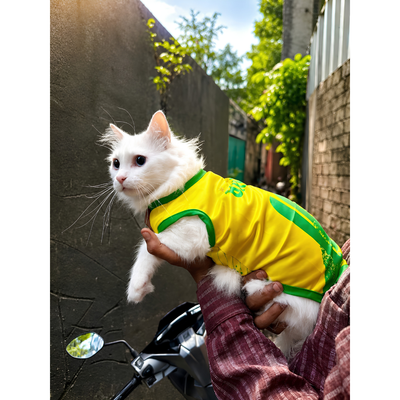 Brazil fan 2