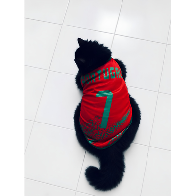Portugal fan 3