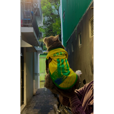 Brazil fan 7
