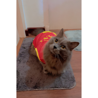Spain fan 3