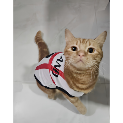 England fan 2