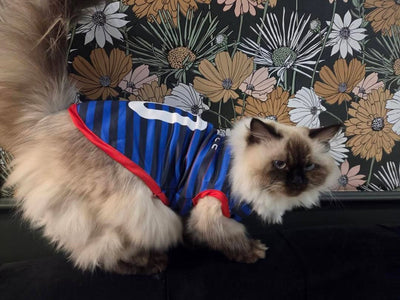 France fan 1