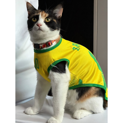 Brazil fan 1