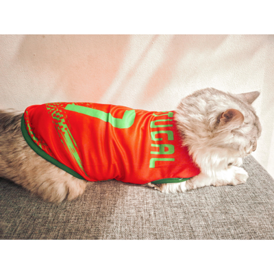 Portugal fan 1