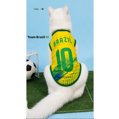Brazil fan 5
