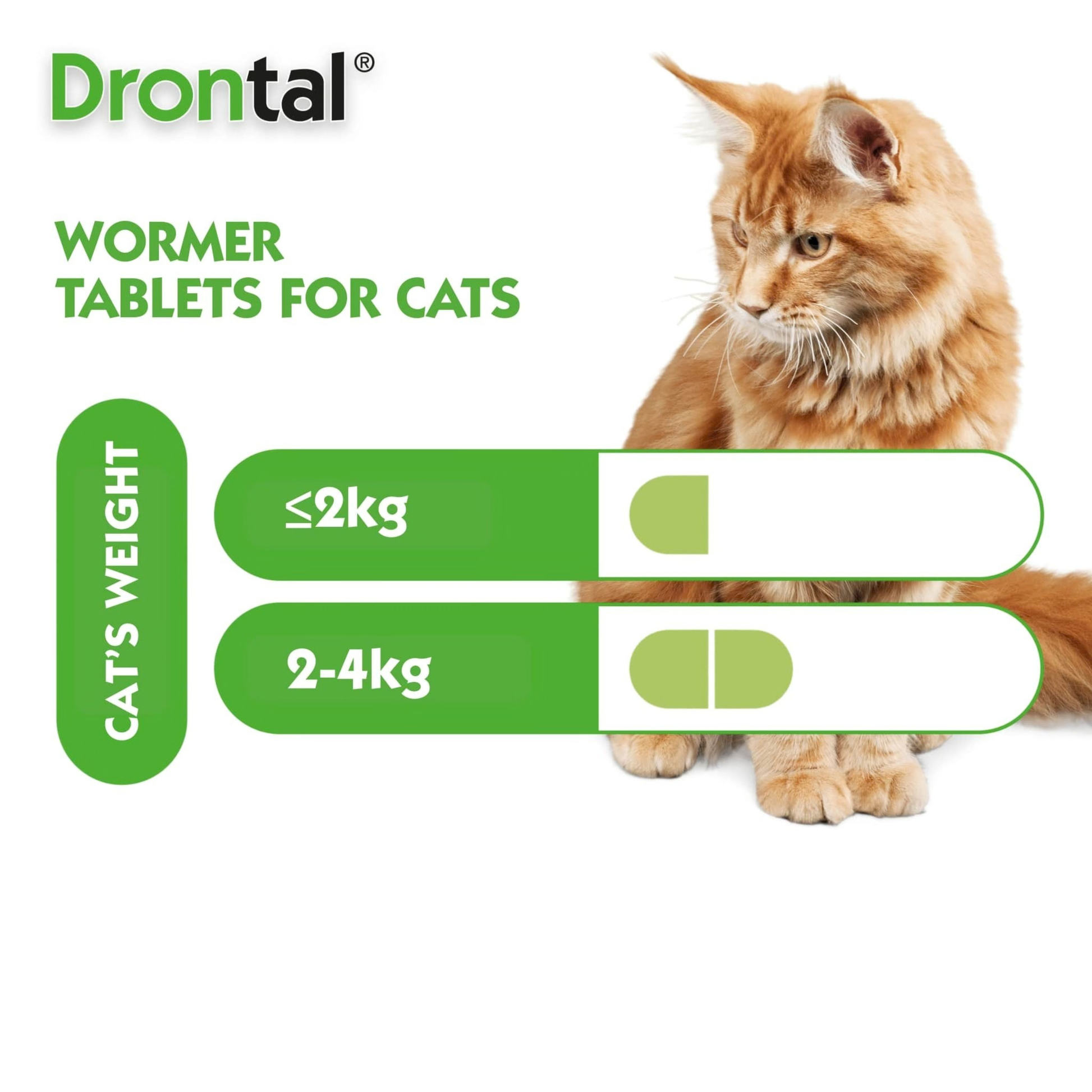 DRONTAL Deworm Tablets - for cats