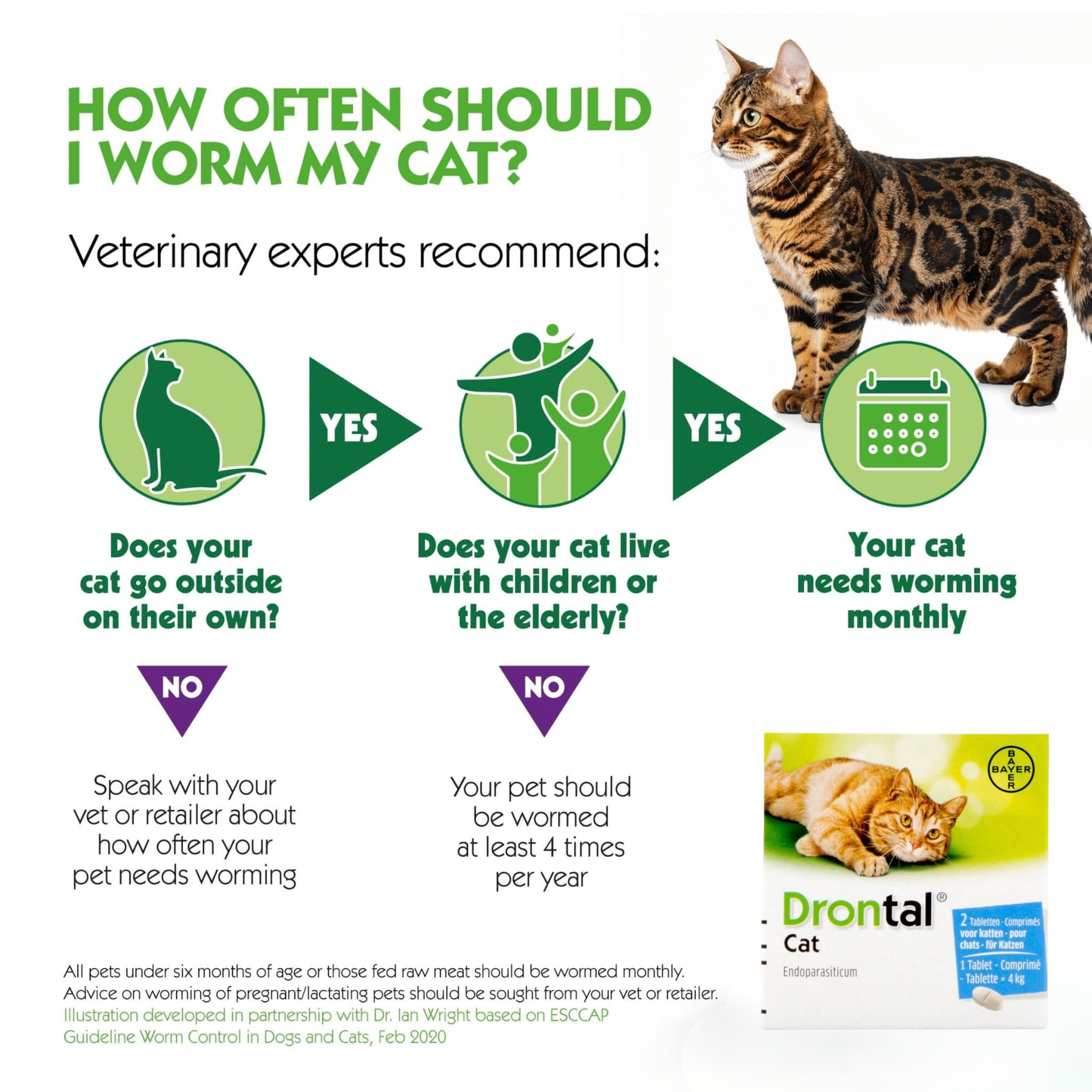 DRONTAL Deworm Tablets - for cats