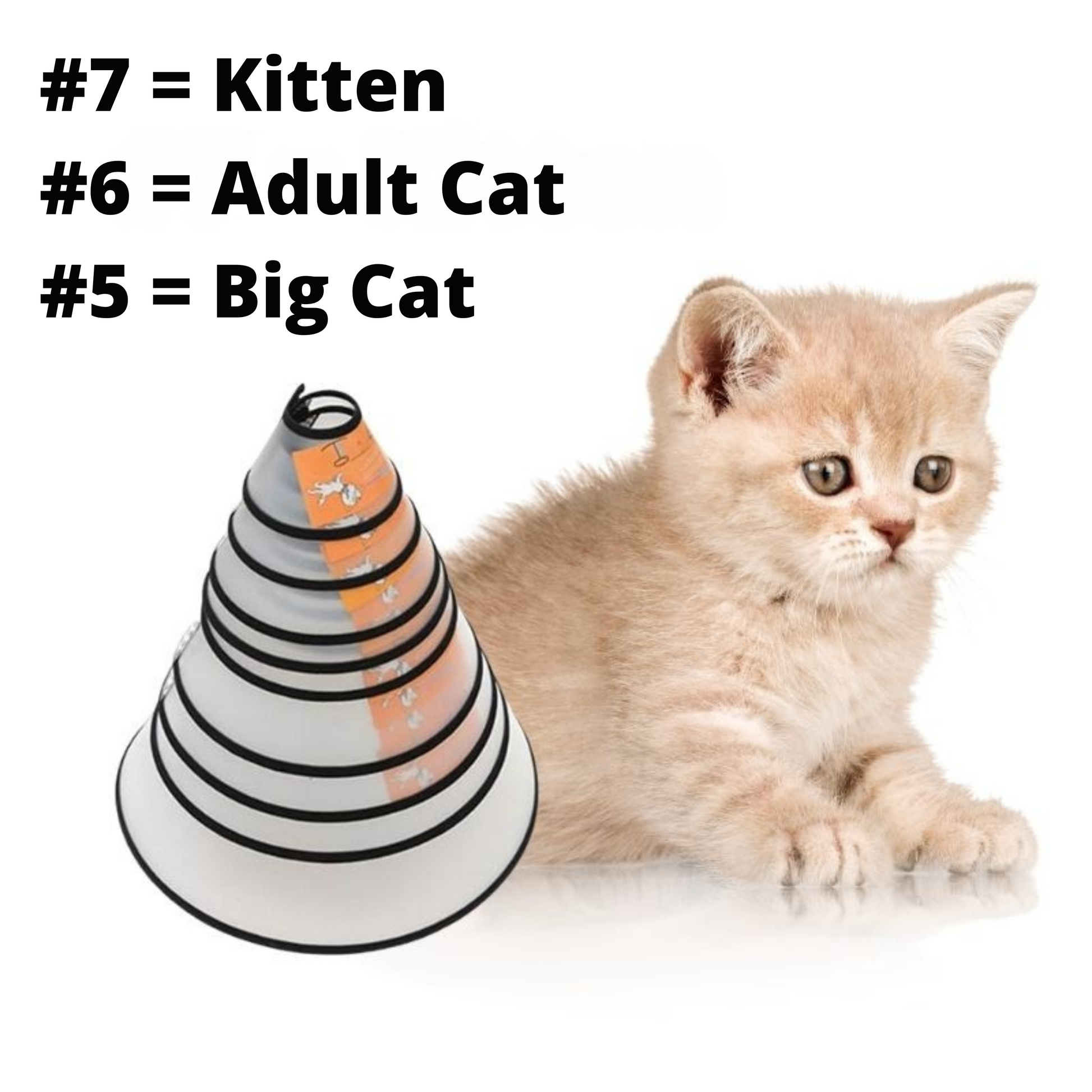 UNBRANDED PICKS E-Collar Protective Cones - for cats