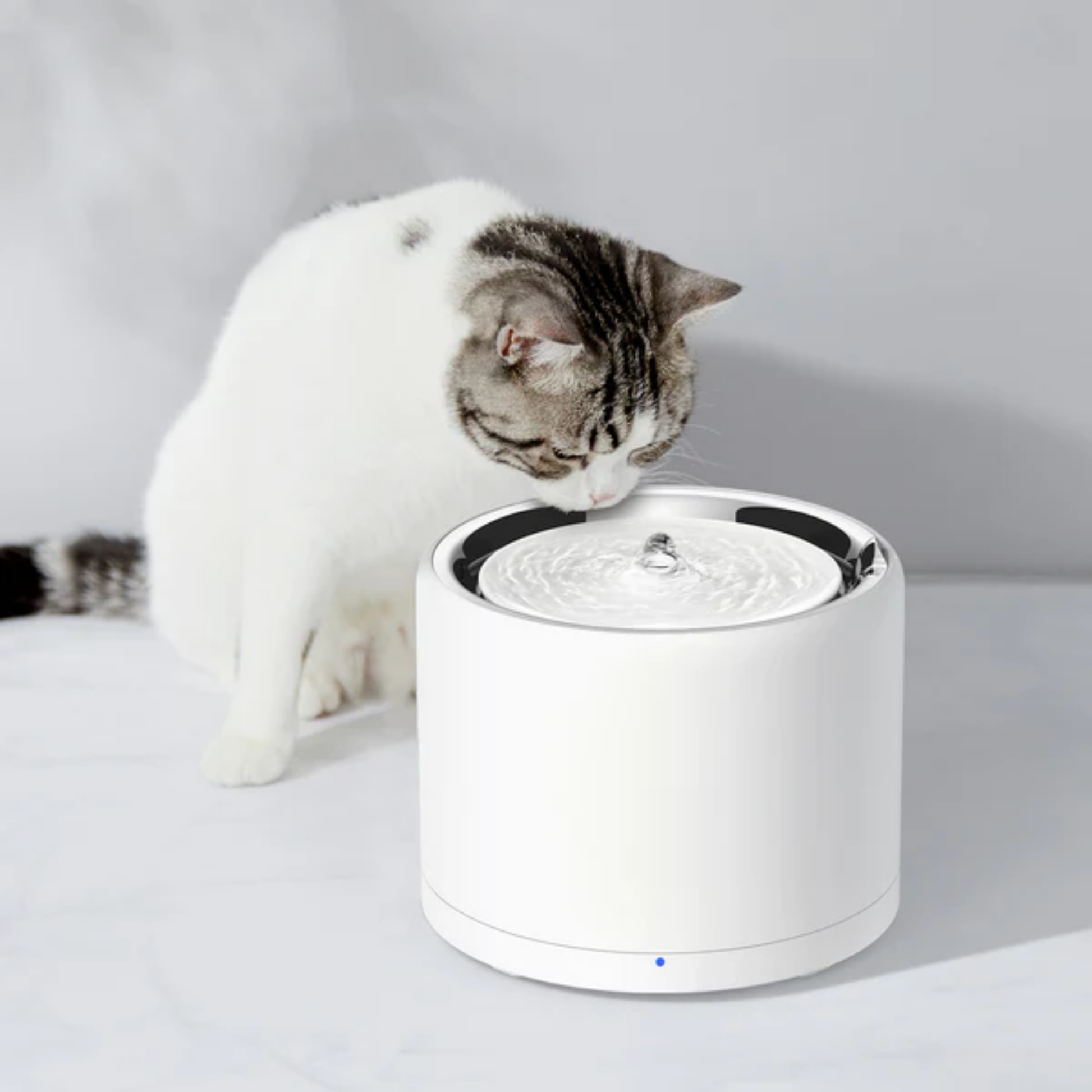 Boneve EverSweet 3 Pro (UVC) Pet Water Fountain - for cats