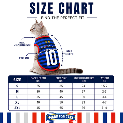 Catmaniamv France - for cats