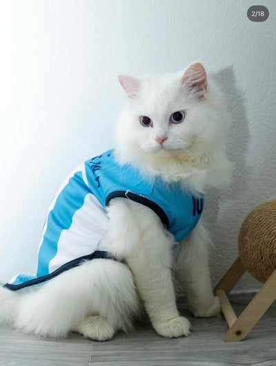 Argentina fan 4