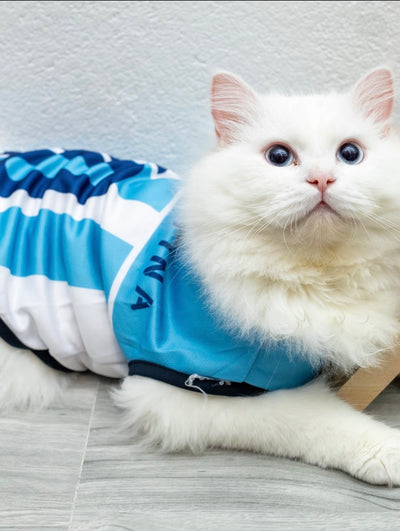 Argentina fan 3