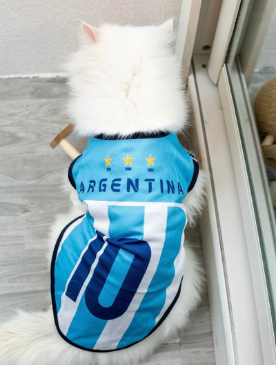 Argentina fan 2