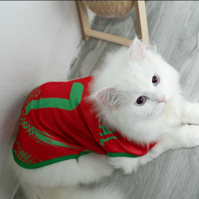 Portugal fan 4