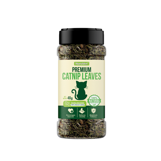 NANOVET+ Premium Catnip Leaves (48gm) - for cats