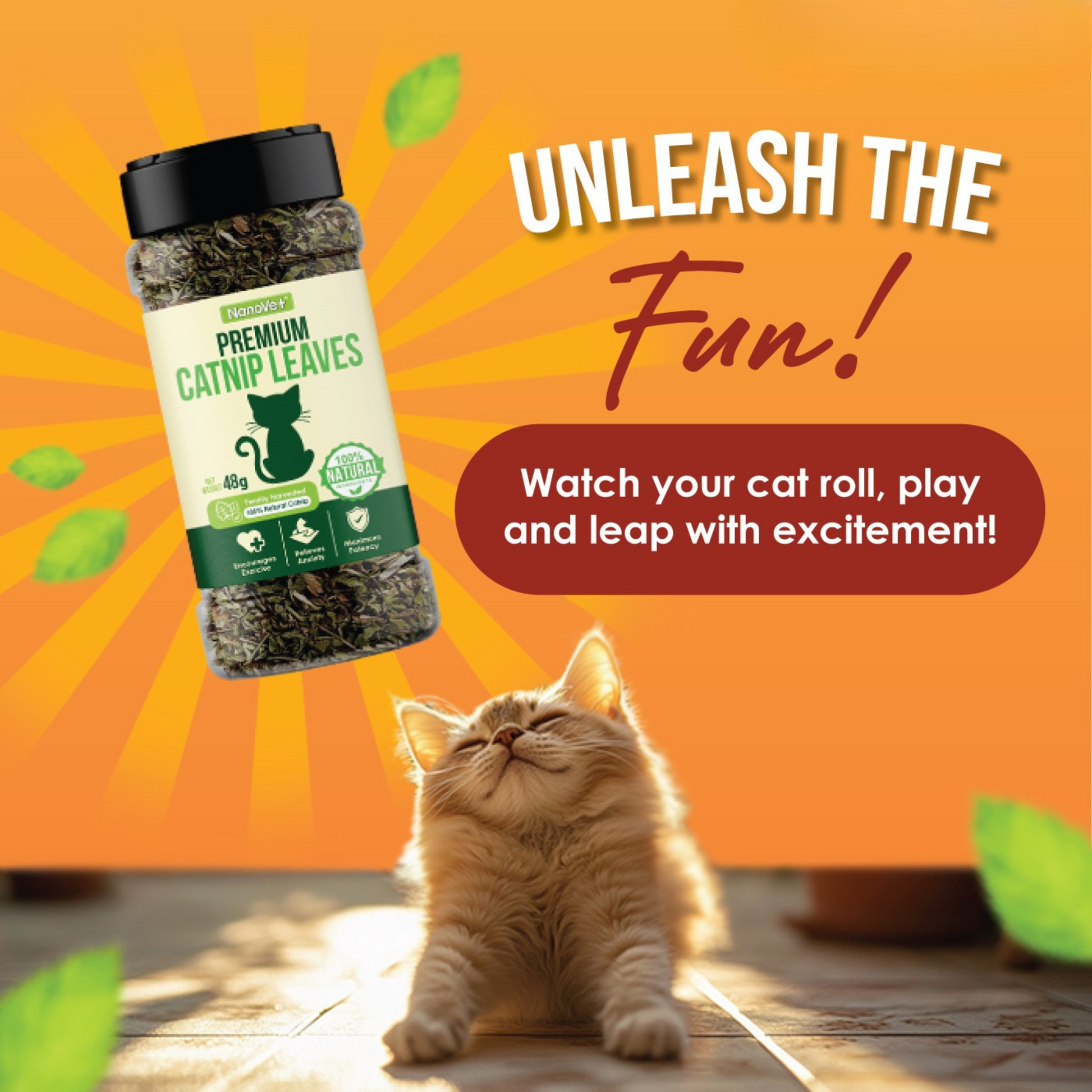 NANOVET+ Premium Catnip Leaves (48gm) - for cats