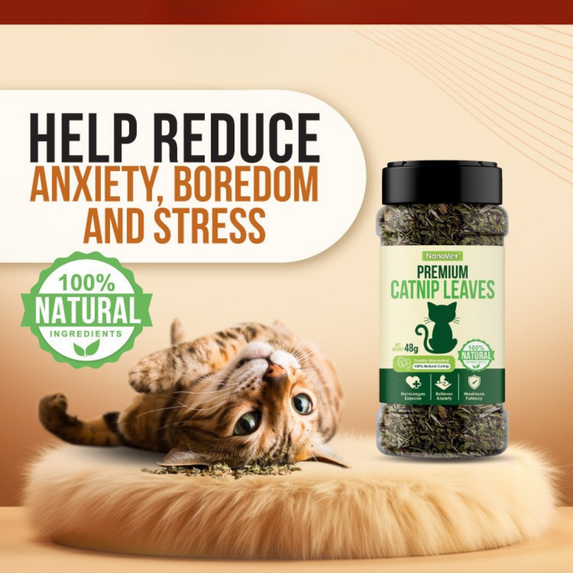 NANOVET+ Premium Catnip Leaves (48gm) - for cats