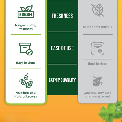 NANOVET+ Premium Catnip Leaves (48gm) - for cats