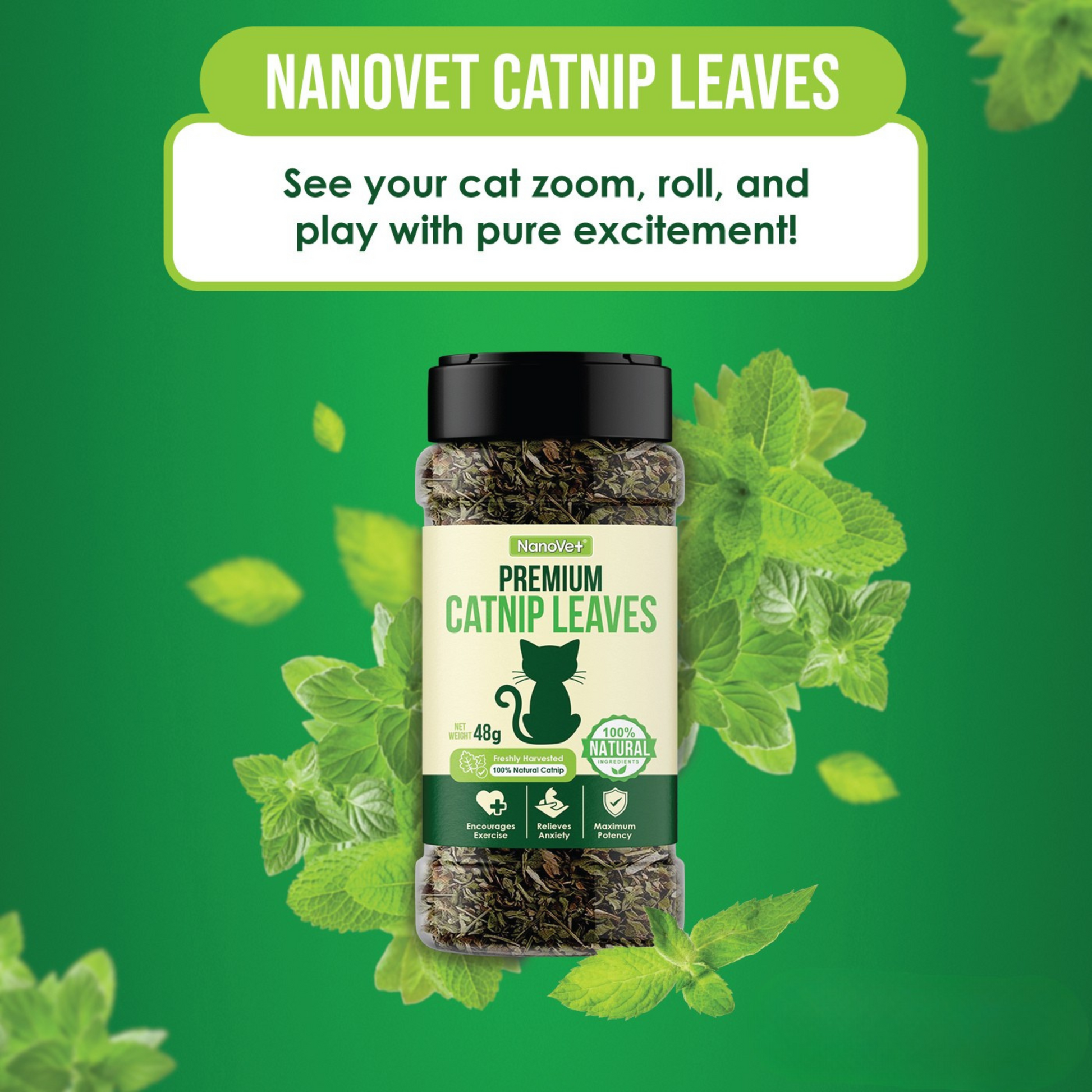 NANOVET+ Premium Catnip Leaves (48gm) - for cats
