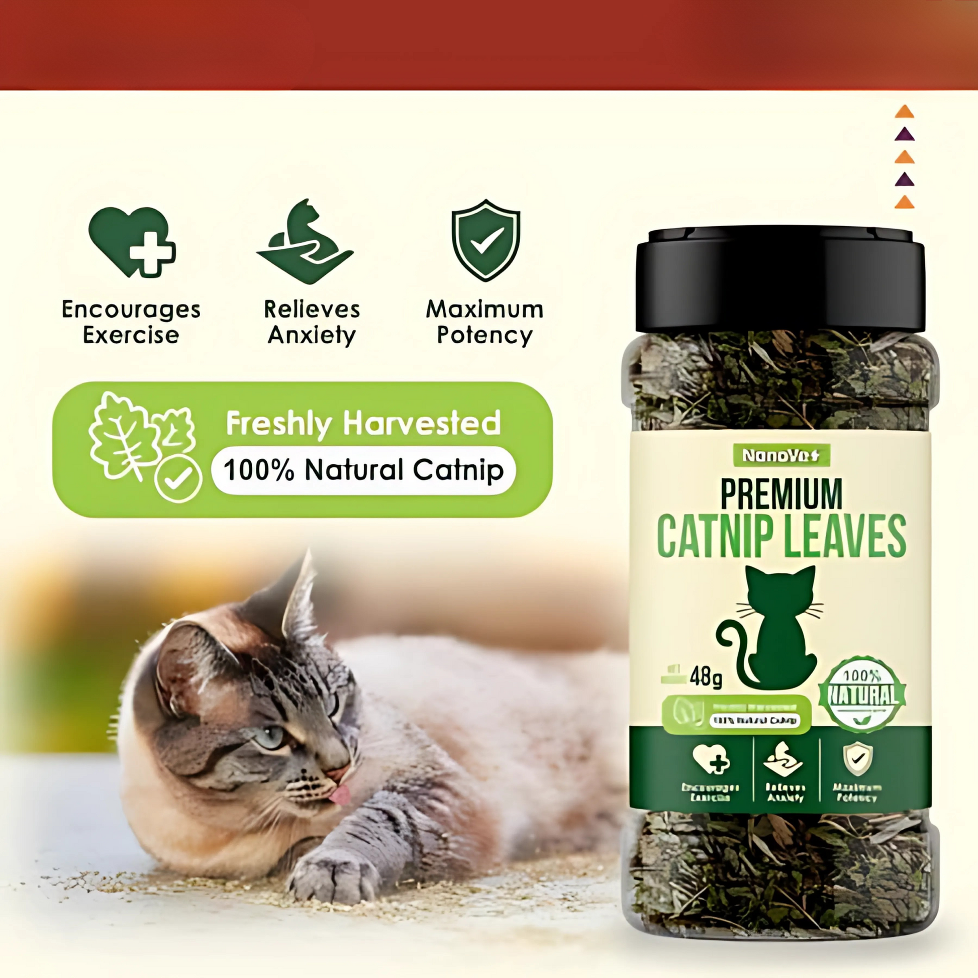 NANOVET+ Premium Catnip Leaves (48gm) - for cats
