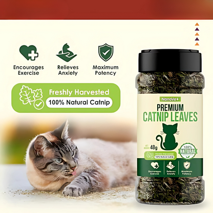 NANOVET+ Premium Catnip Leaves (48gm) - for cats