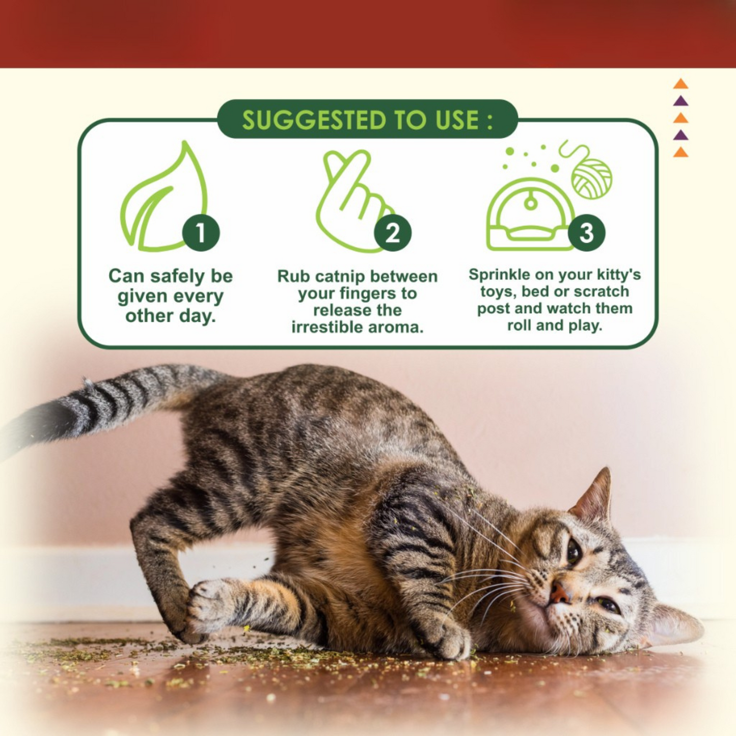 NANOVET+ Premium Catnip Leaves (48gm) - for cats