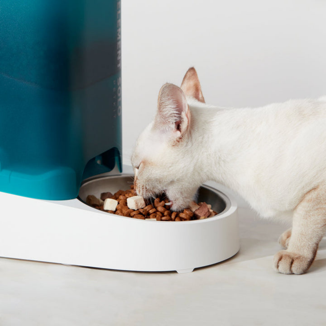 PETKIT Fresh Element Solo Automatic Feeder - for cats