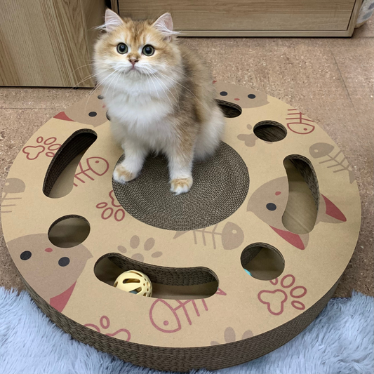 CATMANIA Purrfect Play Wheel - for cats