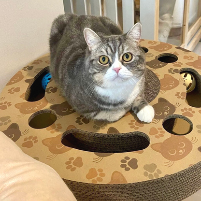 CATMANIA Purrfect Play Wheel - for cats