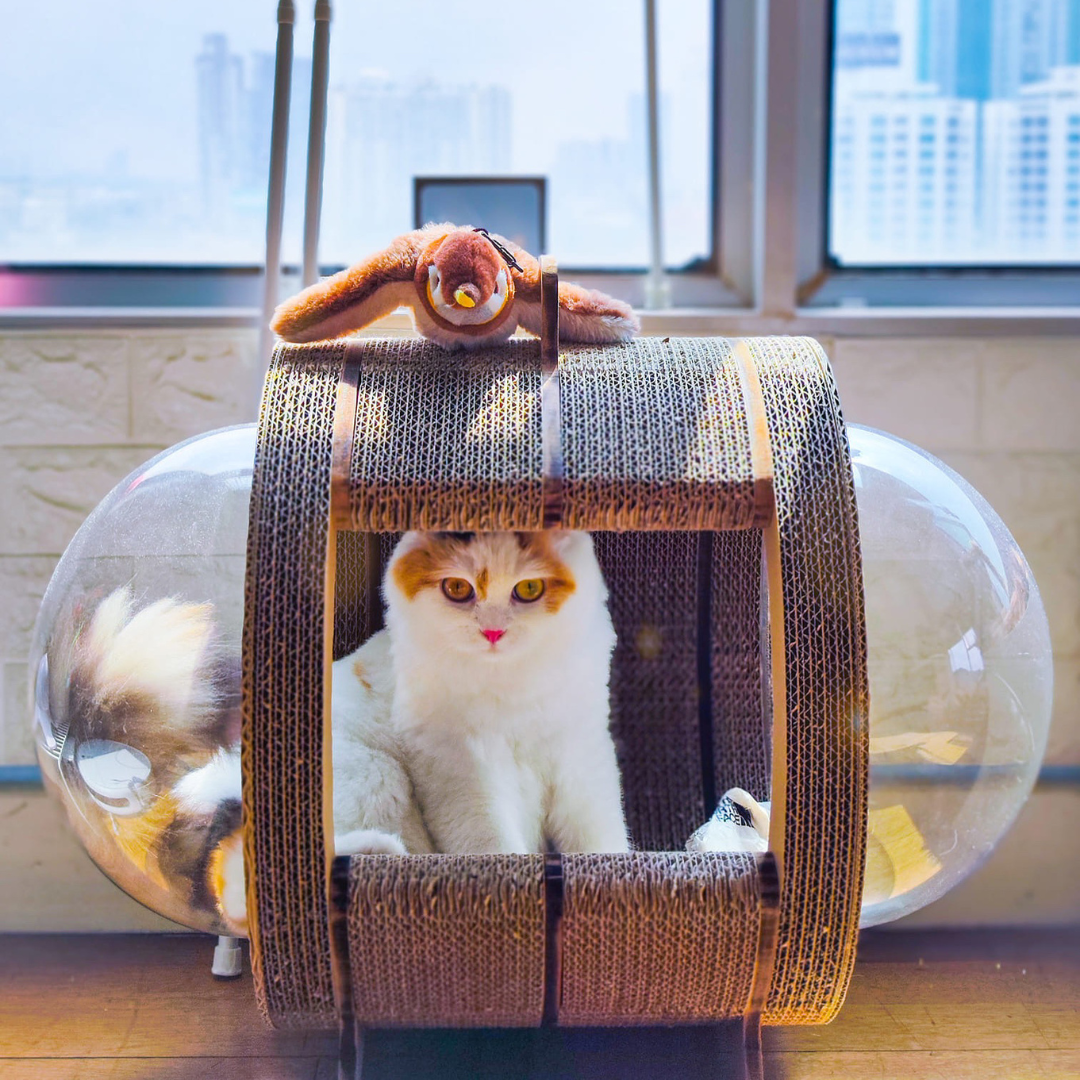 CATMANIA Purr Pod - for cats