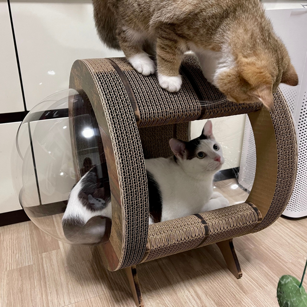 CATMANIA Purr Pod - for cats