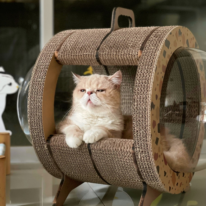 CATMANIA Purr Pod - for cats