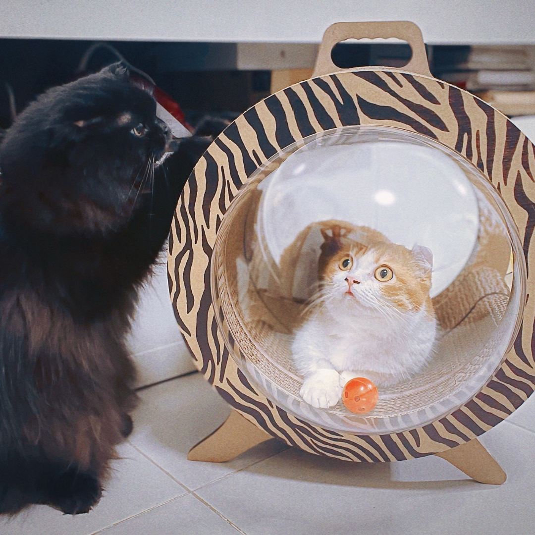 CATMANIA Purr Pod - for cats