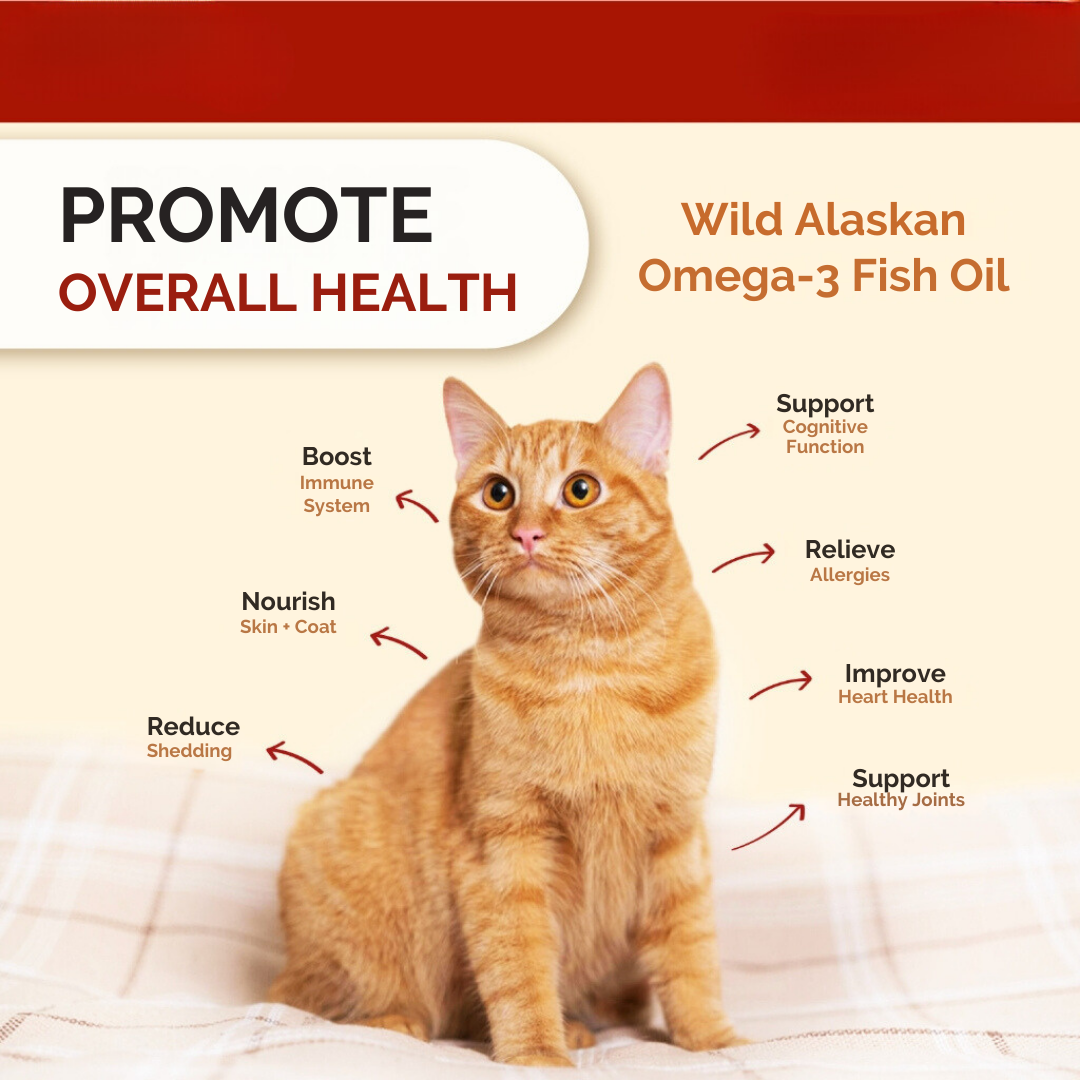 NANOVET+ Wild Alaskan Salmon Oil for cats - for cats