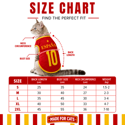 Catmaniamv Spain - for cats