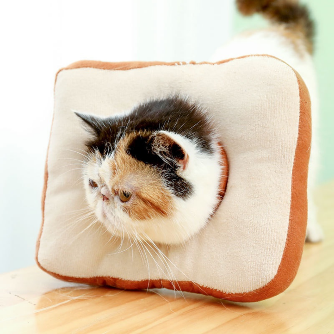 UNBRANDED PICKS Premium Donuts - for cats
