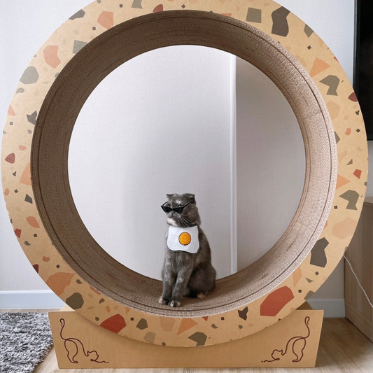 CATMANIA Whisker Wheel - for cats