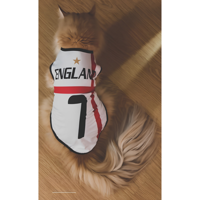 England fan 3