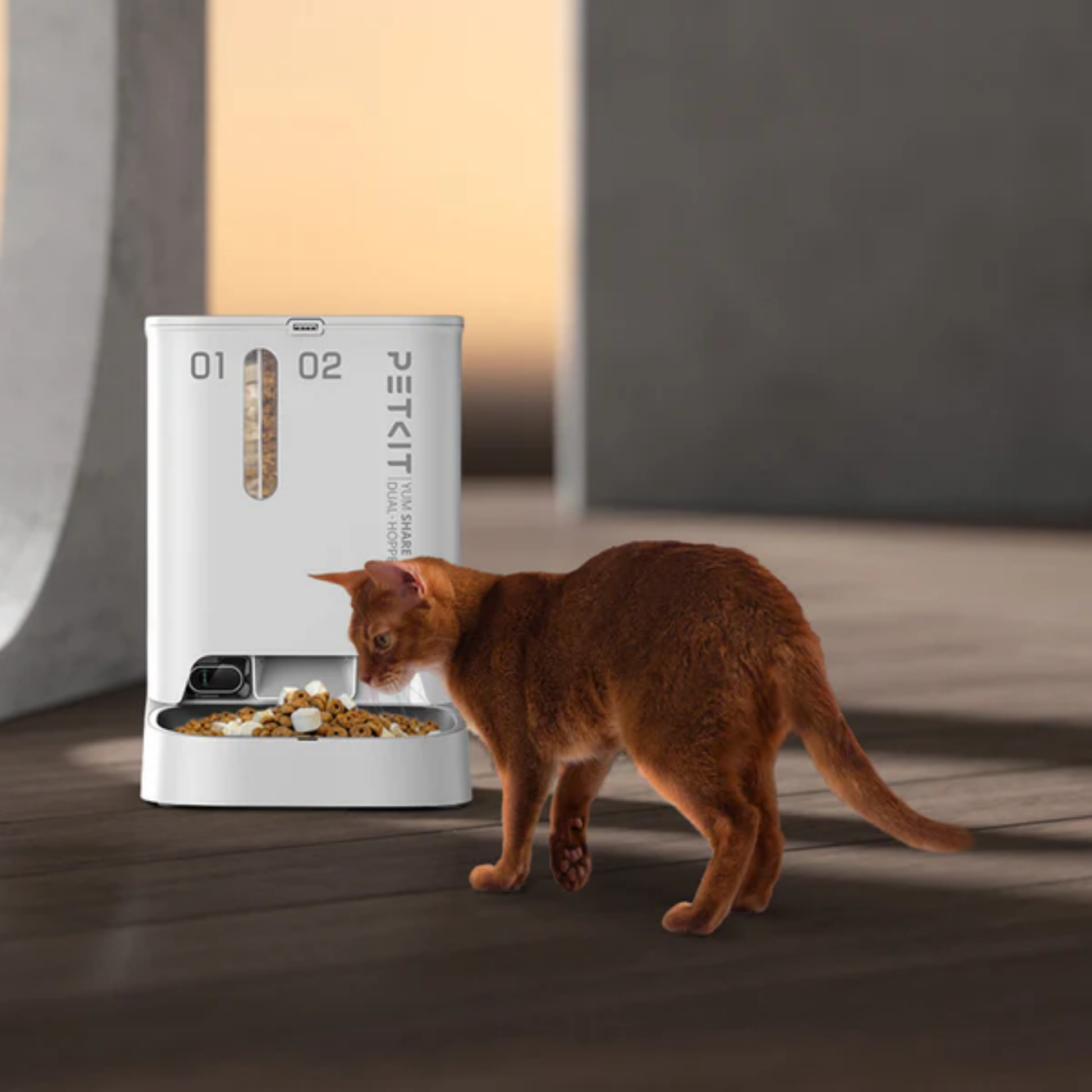 PETKIT YumShare Dual-hopper Automatic Feeder with Camera - for cats