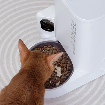 PETKIT YumShare Solo Automatic Feeder with Camera - for cats